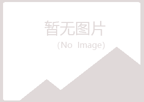 吉林夜山会计有限公司